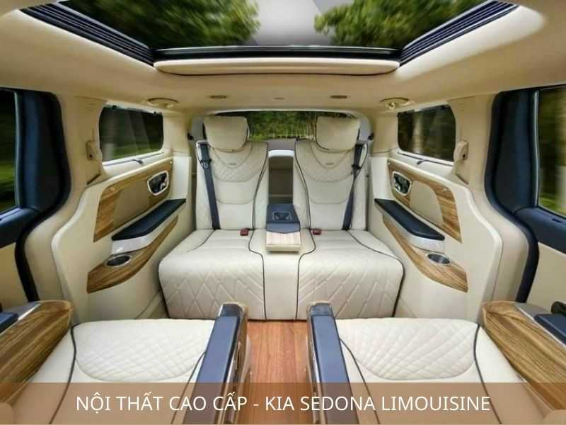 kia-sedona-do-limousine (4)